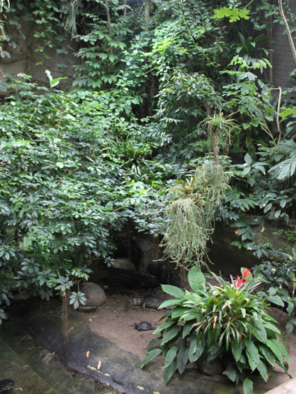 Общий вид выставки бабочек.