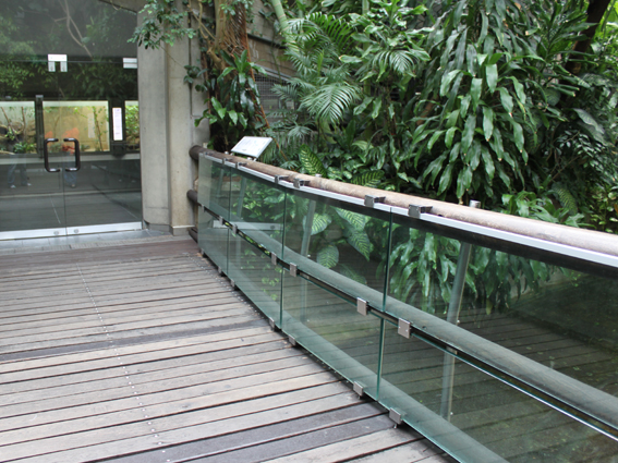 Мостик на выставке бабочек.