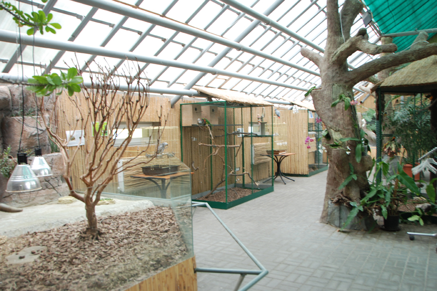 Первый зал выставки 