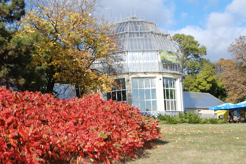 Общий вид выставки.