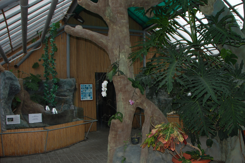 Первый зал выставки 