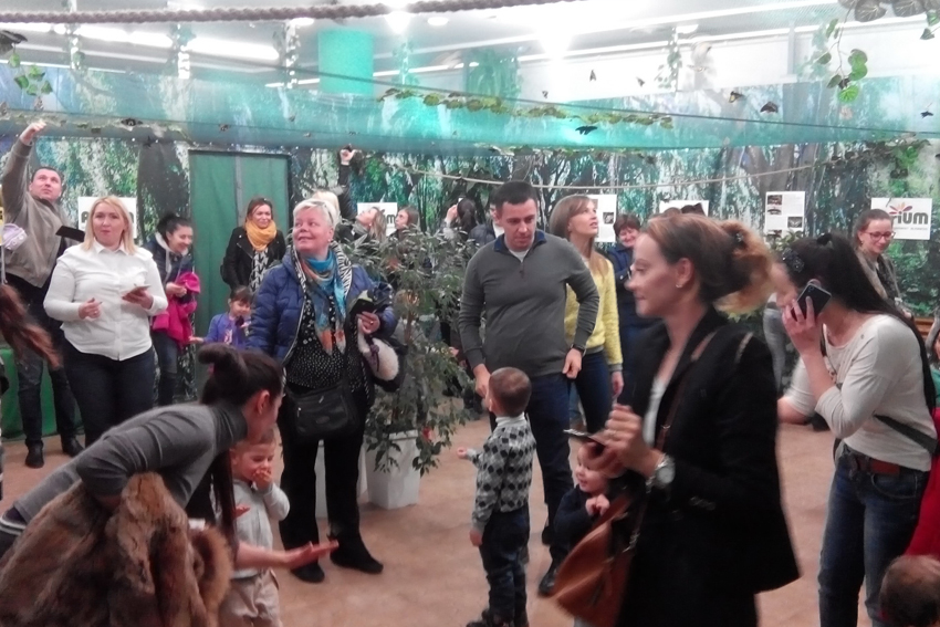 Выставка бабочек в Кишиневе