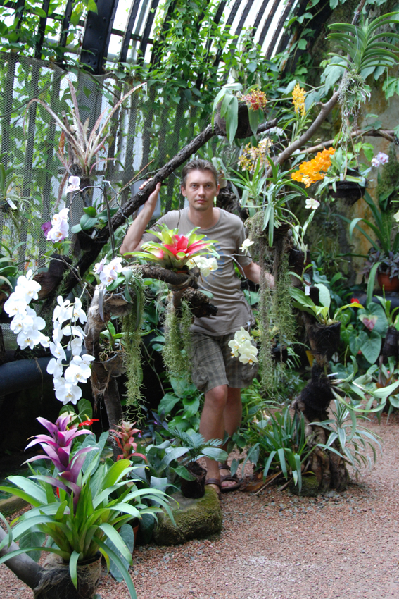 Наша выставка орхидей