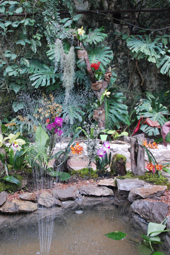 Наша выставка орхидей в Никитском ботсаду