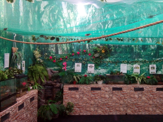 Выставка Планета бабочек