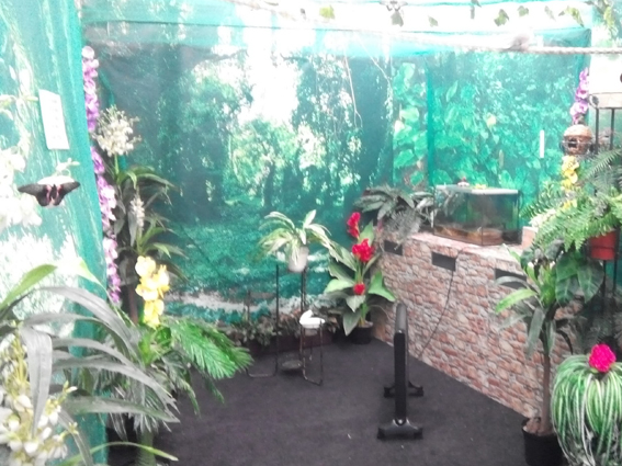 Выставка Планета бабочек в Киевском планетарии