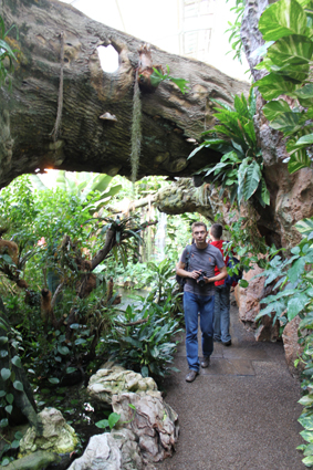 Имперский дом бабочек