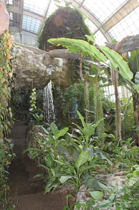 Выставка живых бабочек