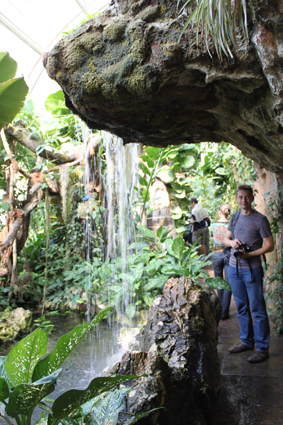 Выставка бабочек