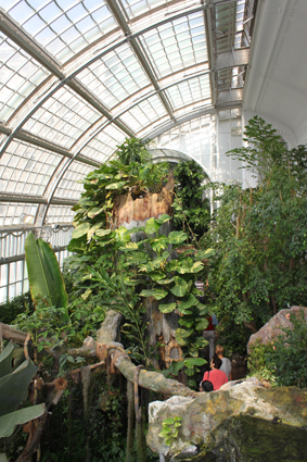 Вид с верхнего яруса