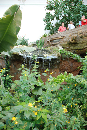 Вид на водопад