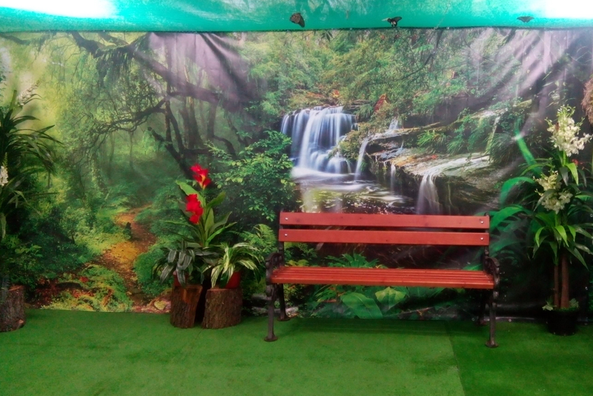 Переездная выставка живых бабочек.