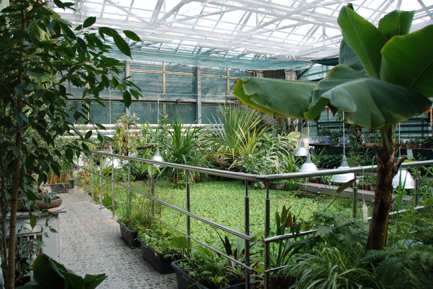 Общий вид выставки в водной оранжерее