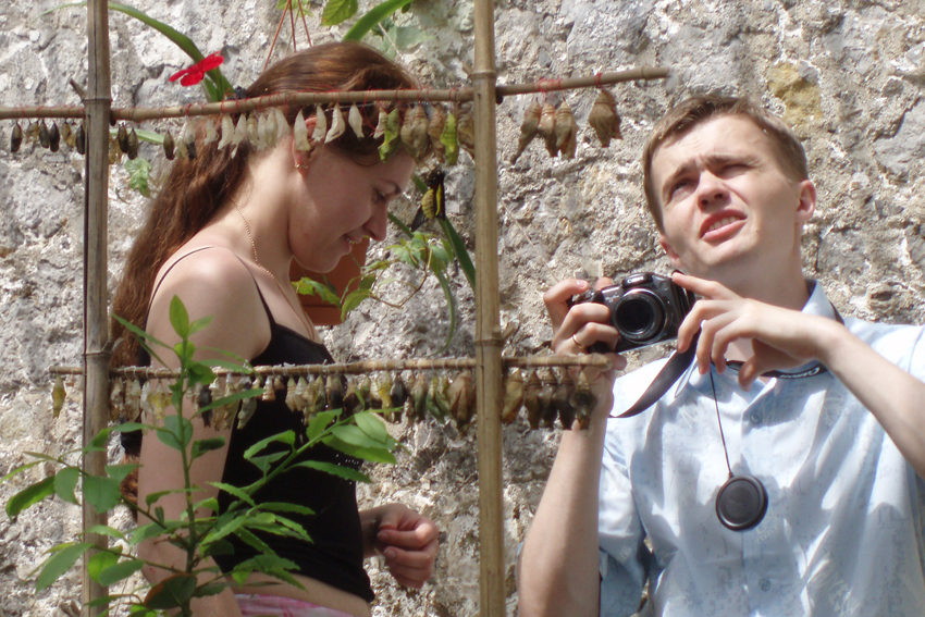 Выставка живых тропических бабочек в Никитском ботсаду.