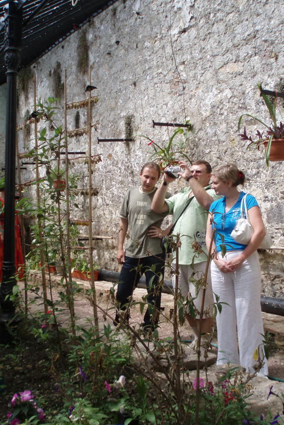 Выставка живых бабочек.