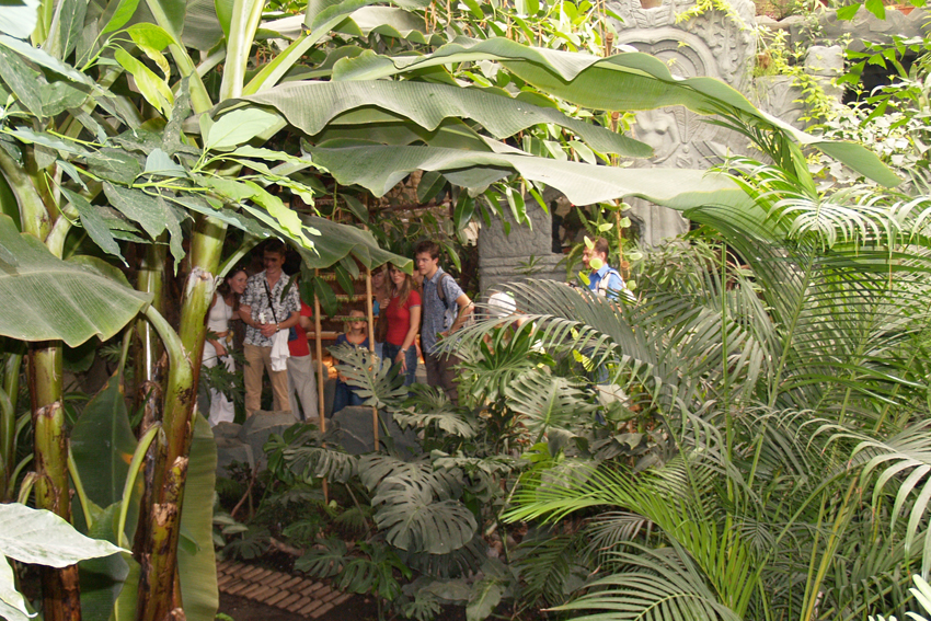 Выставка живых бабочек в киевском зоопарке.