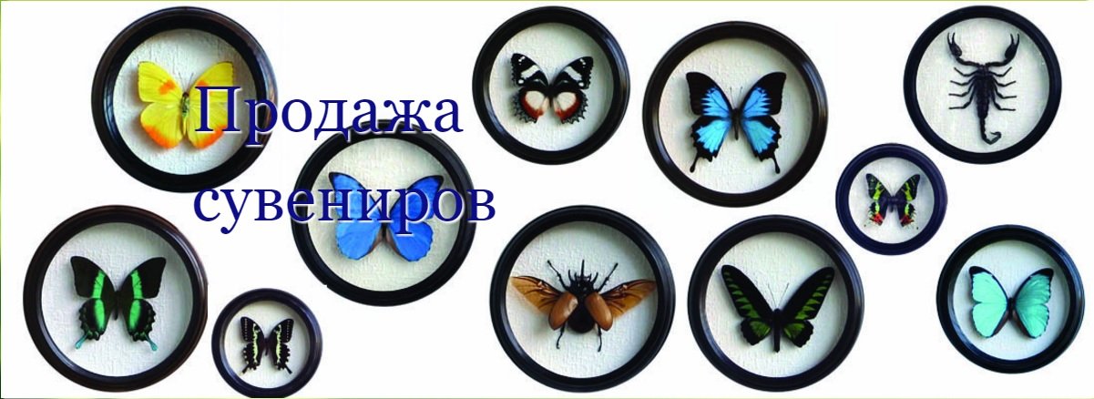 Продажа сувениров